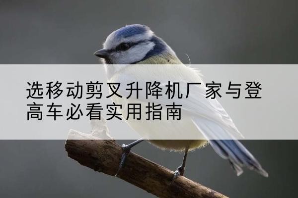龙游电动升降机厂家-选移动剪叉升降机厂家与登高车必看实用指南