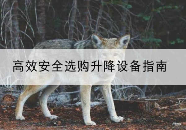 龙游升降货梯厂家推荐-*安全选购升降设备指南