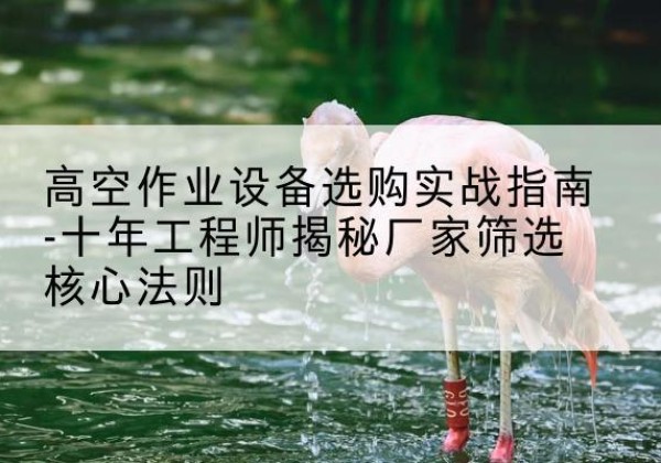 龙游剪叉式升降机厂家-高空作业设备选购实战指南-十年工程师揭秘厂家筛选核心法则